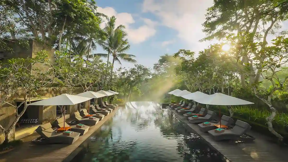 Hotel Maya Ubud infinity pool lang