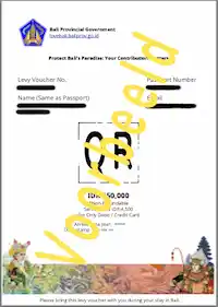 Bali Levy PDF