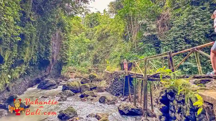 Bamboe bruggen in de kloof van de Tibumana waterval.